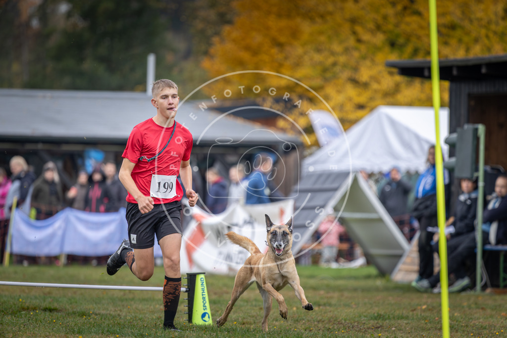 Pfotenfotografie_DV3A0812 | Hundefotografie, Tierfotograf, Pfotenfotografie, Fotoshooting Hund, Hunde Portrait, Hundesport, Hundeportraits, Heideshooting, Hunde, Sportfotograf, Hundefotograf, Turnierhundsport, THS,  - Realisiert mit Pictrs.com