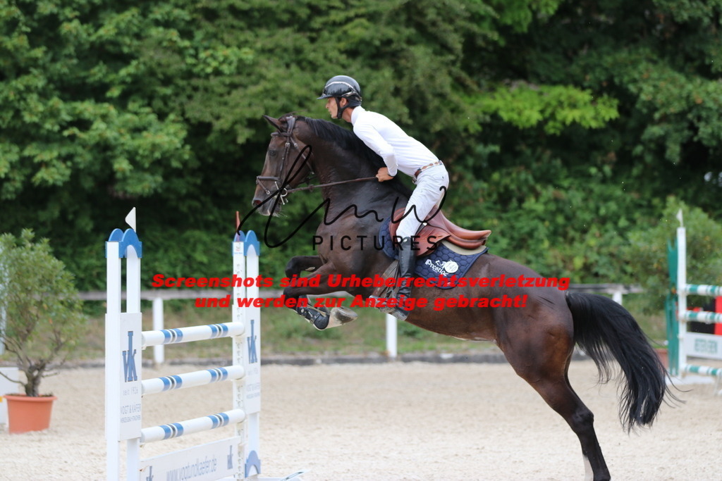 IMG_2372 | lmwpictures - Realisiert mit Pictrs.com