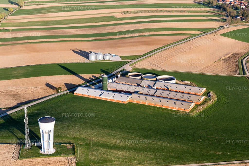 Aerial view: Pigsties on the farmstead of a farm on the edge of cultivated fields in Wintzenbach in the state Bas-Rhin, France. – Photo: IMG_097850.jpg taken on 03/27/2017 by Werner Riehm/FLY-FOTO.com – Resolution of the original: 5472 x 3648 px