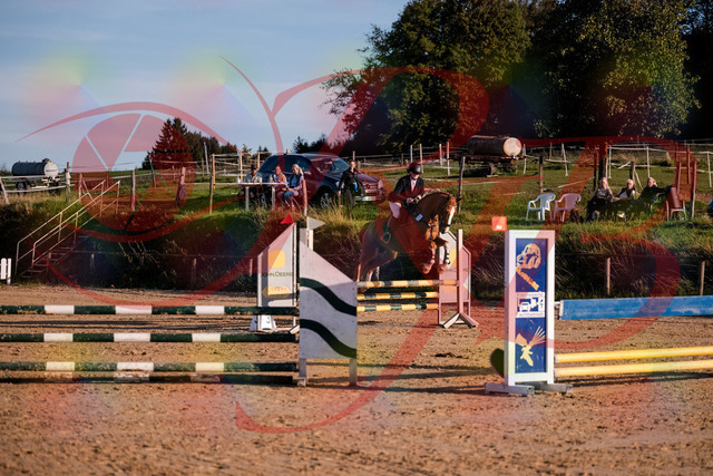 2026_10_03_Siefer-Hof_171720_Z81_15059129 | Professionelle Reitsport-, Turnier- und Eventfotografie von Robert Broda. Galerien mit ausgewählten und bearbeiteten Bildern direkt online ansehen und bestellen.