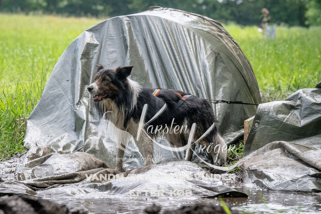 1127_ZZ93035 | kk-dogfotos