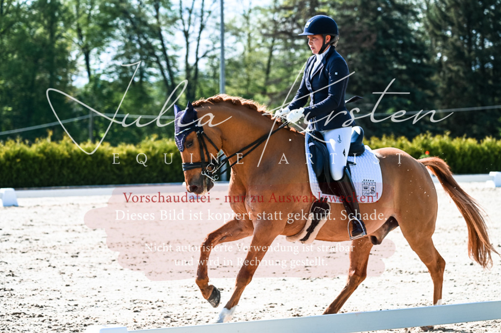 20230513_JK-Röhrsdorf-10-0295 | Pferde- und Turnierfotografie in Westsachsen. Pferdeportraits, Auftragszeichnungen und intuitive Kunst.