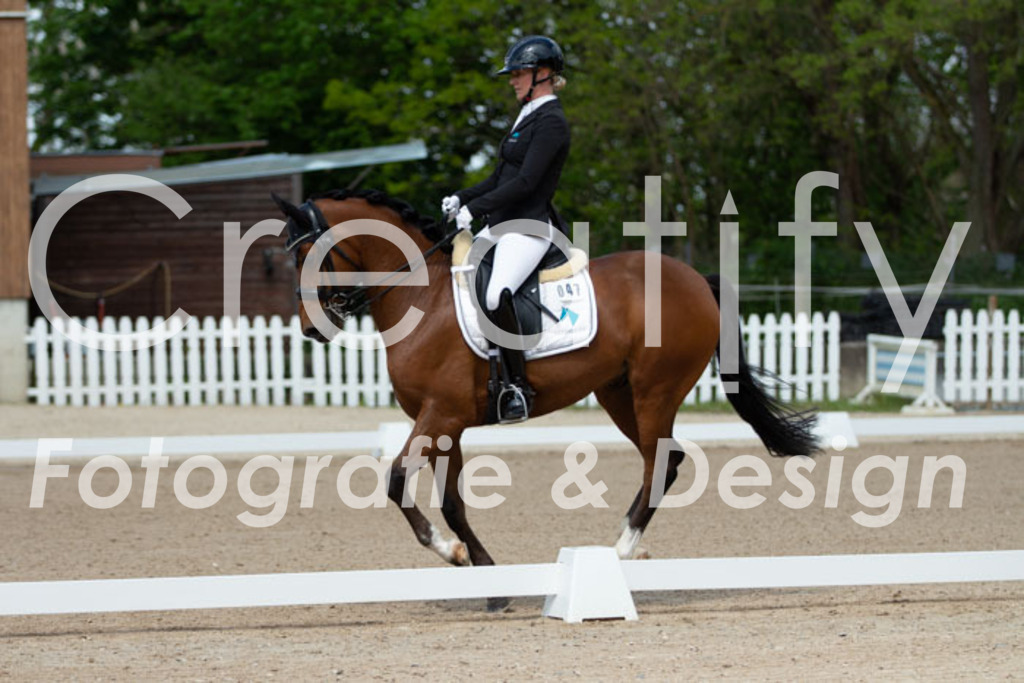 IMG_5585 | Creatify Fotografie