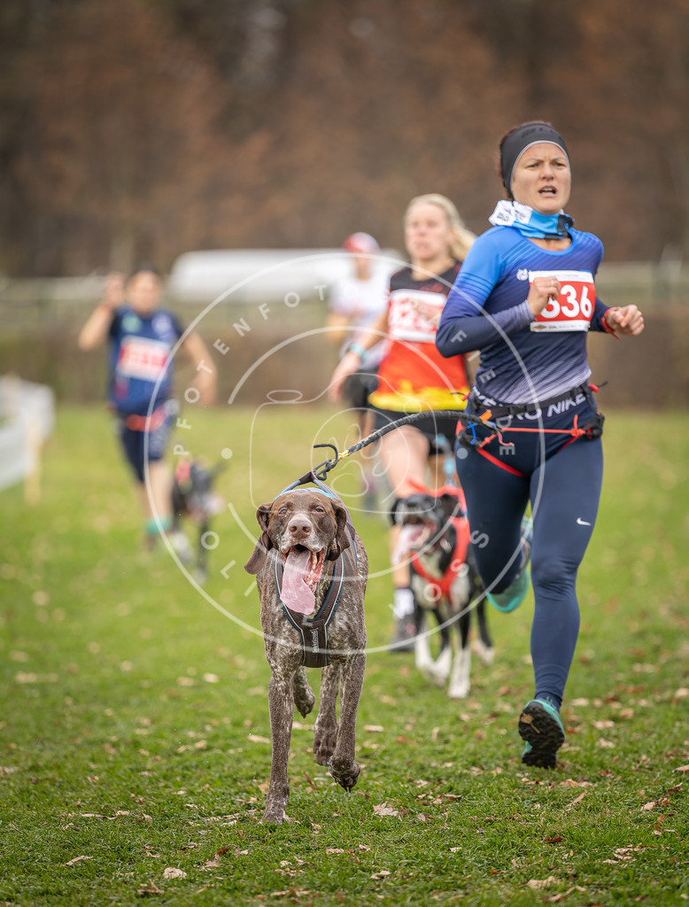 CaniXpix_DV3A6302 | Hundefotografie, Tierfotograf, Pfotenfotografie, Fotoshooting Hund, Hunde Portrait, Hundesport, Hundeportraits, Heideshooting, Hunde, Sportfotograf, Hundefotograf, Turnierhundsport, THS,  - Realisiert mit Pictrs.com
