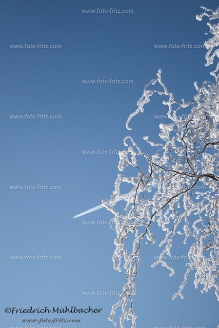 JAN_1321 | www.foto-fritz.com - Realisiert mit Pictrs.com