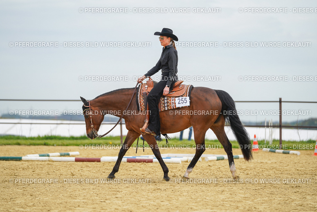 DSC03009 | Pferdegrafie