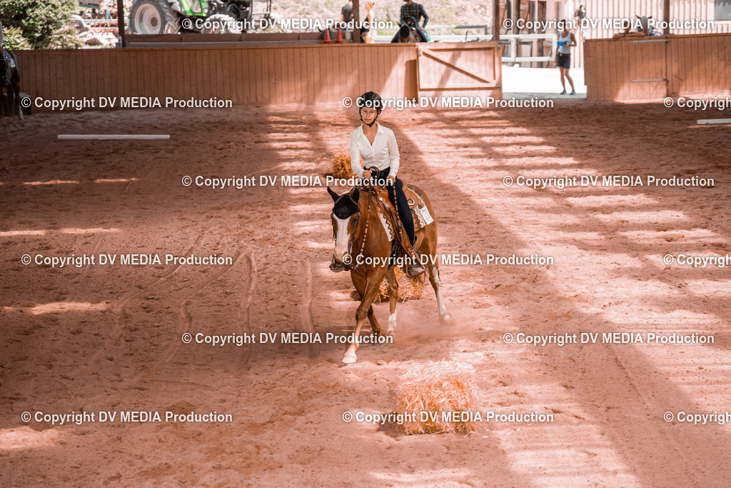 NE300383 | dv-media-shop - Realisiert mit Pictrs.com