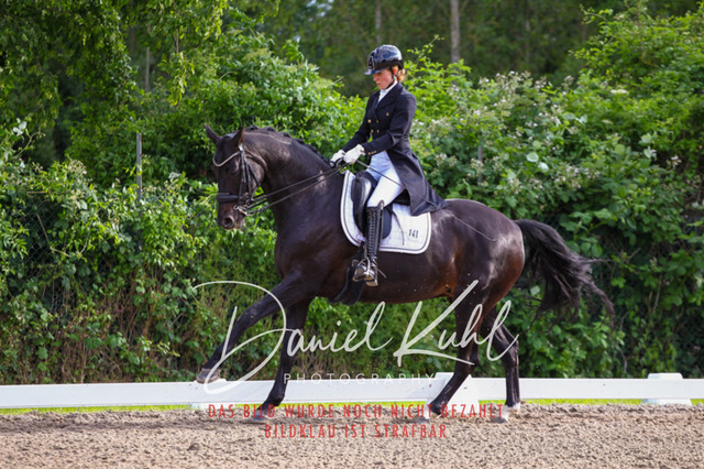 DKP41735 | Turnierfotos kaufen im Webshop von Daniel Kuhl Photography – entdecke professionelle Reitsportfotos aus Turnieren & Events. Hochwertige Turnierbilder online bestellen & sichern. Jetzt Fotos von Reitsportturnieren kaufen!