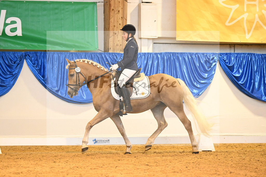 Kat-Nr. 330 Pauline_Linder_54222223 | hf-fotografie - Realisiert mit Pictrs.com