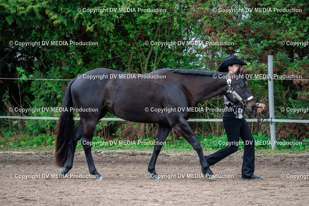 BA300223 | dv-media-shop - Realisiert mit Pictrs.com