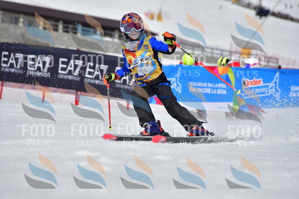 _DSC7747 | holidayphoto