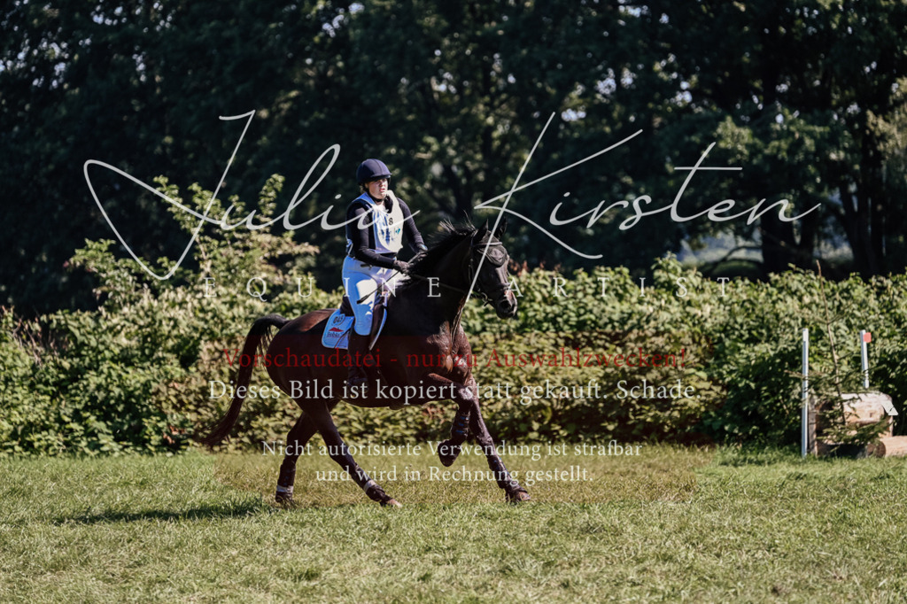 DSC_1631 | Pferde- und Turnierfotografie in Westsachsen. Pferdeportraits, Auftragszeichnungen und intuitive Kunst.