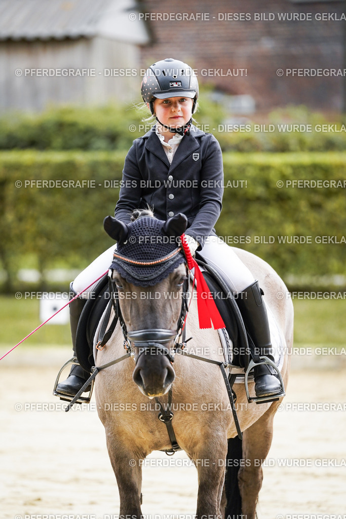 DSC05768 | Pferdegrafie