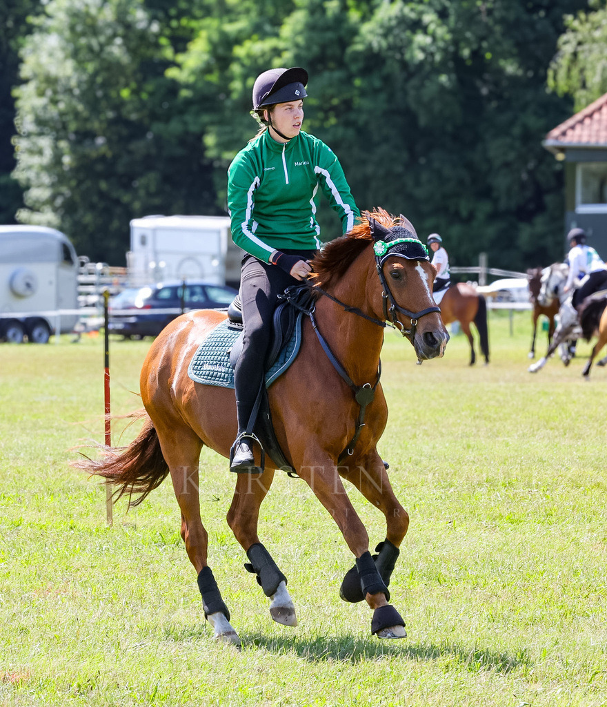 IMG_1639 | Reitsport Reiten