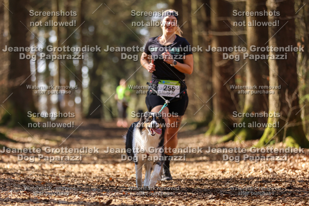 Dog Paparazzi - VCC26-1215 | Dog Paparazzi Jeanette Grottendiek Fotografie & Videografie - Realisiert mit Pictrs.com