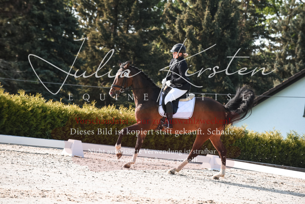 20230518_JK-Röhrsdorf-09-0715 | Pferde- und Turnierfotografie in Westsachsen. Pferdeportraits, Auftragszeichnungen und intuitive Kunst.