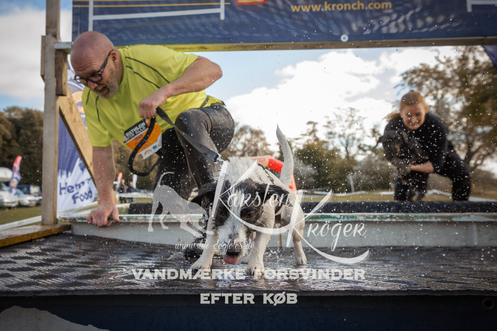 1321_ZZ90291-2 | kk-dogfotos
