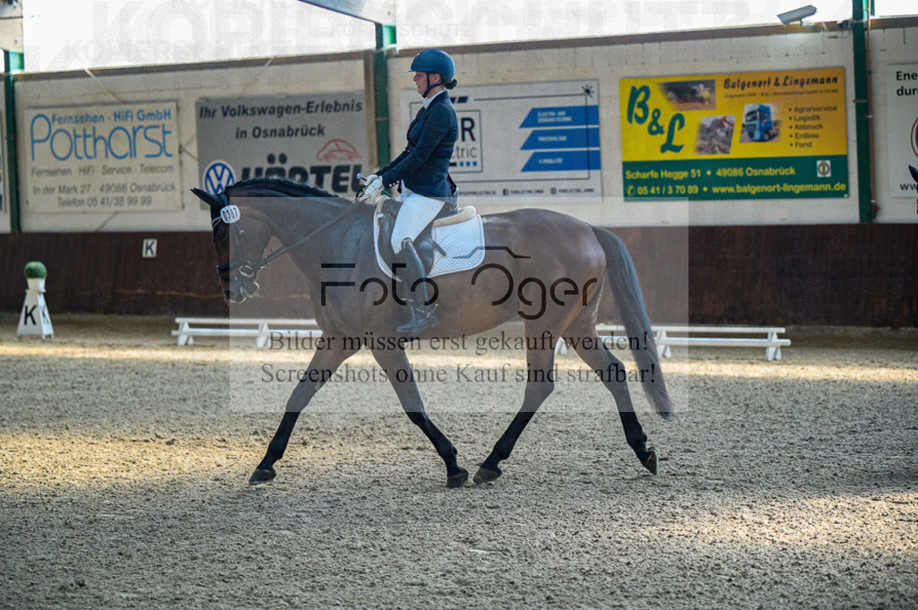 Reitturnier Voxtrup | Entdecke hochwertige Reitturnierfotos von Foto Oger. Professionell, emotional und authentisch – jetzt Lieblingsmomente im Shop bestellen.Deutschlandweite Turnierfotografie. - Realisiert mit Pictrs.com
