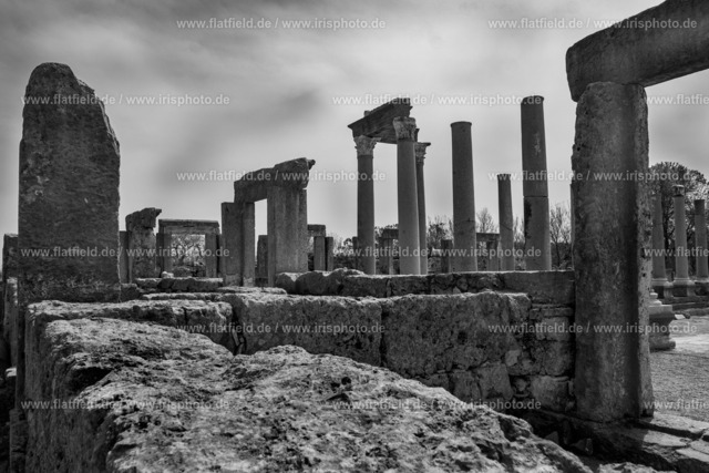 Stehlen in Perge | Foto von Stehlen  in der antiken Stadt Perge in der Türkei