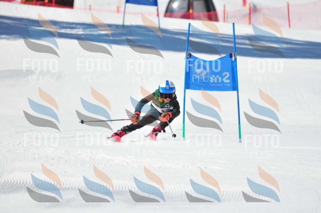 C3707 | holidayphoto