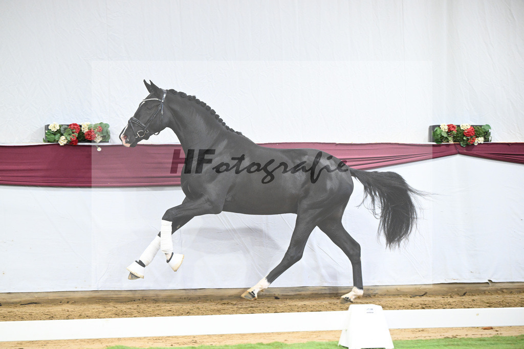 Kat-Nr. 50 Energy x Sezuan_Wilhelm u. Marvin Klausing GbR_47251888 | hf-fotografie - Realisiert mit Pictrs.com