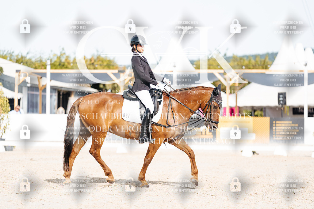 CK905146 | Turnierfotografie Pferdefotografie Trier Rheinland-Pfalz Pferdesport Reitsport Tierfotografie Sportfotografie Pferdevideo Pferdevideografie Equestrianvideography equestrianphotography  - Realisiert mit Pictrs.com