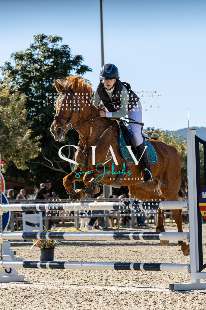 IMG_1283 | s-jay-photography - Realisiert mit Pictrs.com