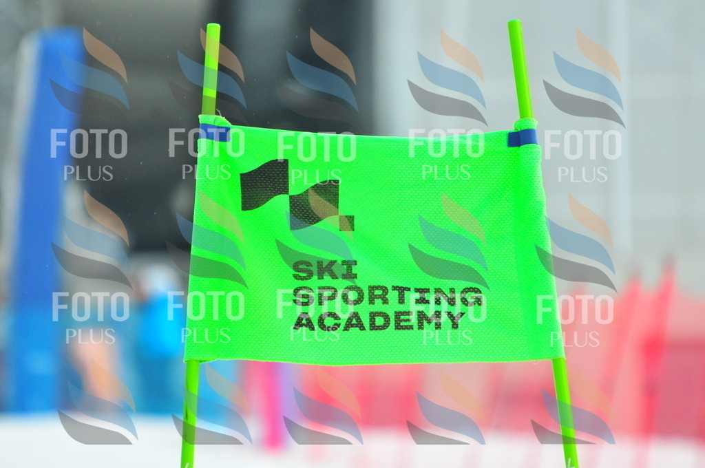 C0764 | holidayphoto