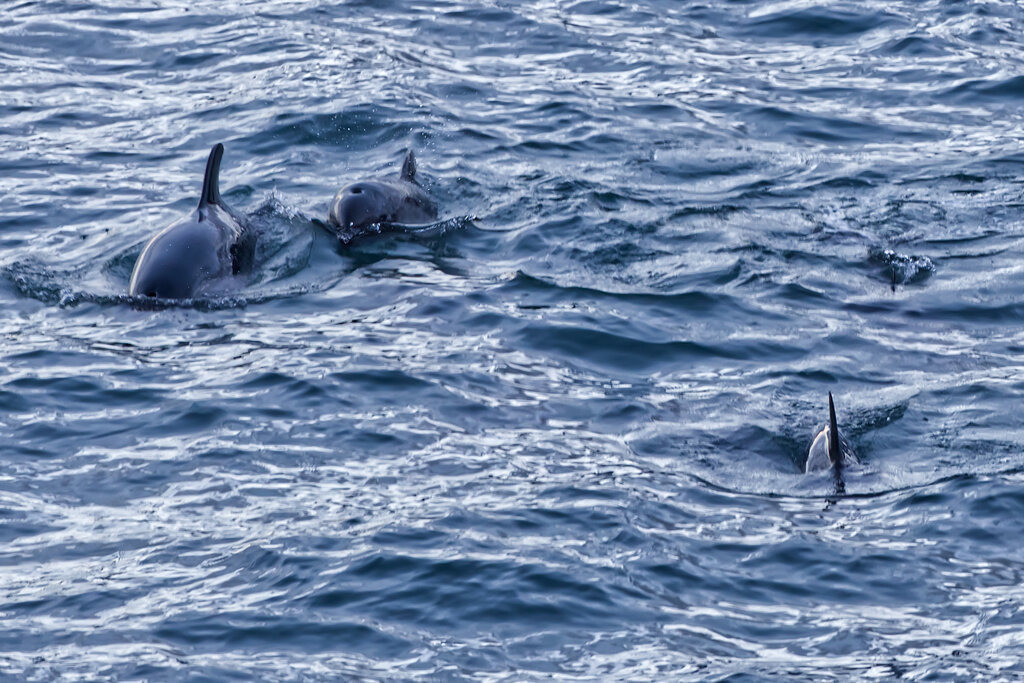 1H5A3010a | ansichtssache