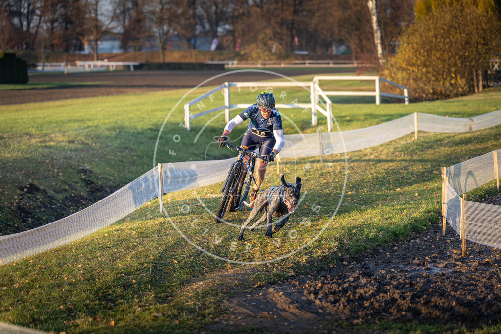 CaniXpix_DV3A9622 | Hundefotografie, Tierfotograf, Pfotenfotografie, Fotoshooting Hund, Hunde Portrait, Hundesport, Hundeportraits, Heideshooting, Hunde, Sportfotograf, Hundefotograf, Turnierhundsport, THS,  - Realisiert mit Pictrs.com