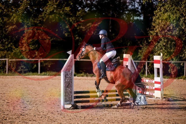 2026_10_03_Siefer-Hof_155314_Z81_72581324 | Professionelle Reitsport-, Turnier- und Eventfotografie von Robert Broda. Galerien mit ausgewählten und bearbeiteten Bildern direkt online ansehen und bestellen.
