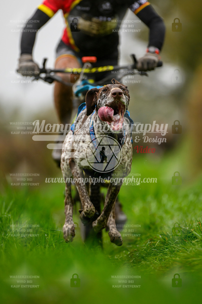 MompixPhotography_20TSB_E8_Bike-18 | PayLife