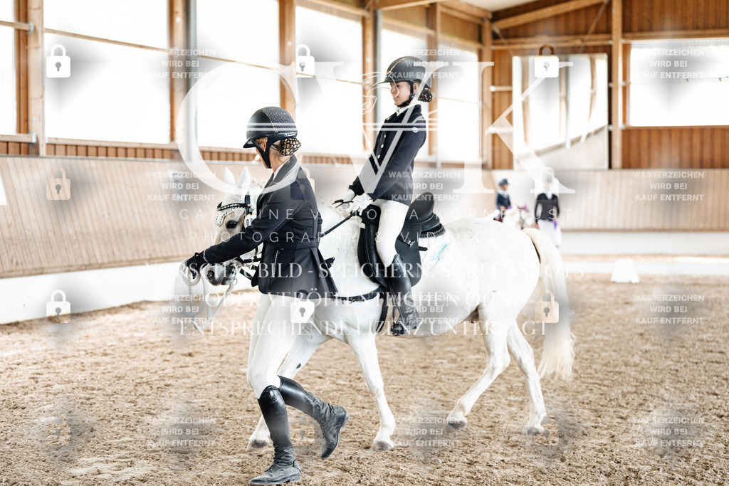 CK902001 | Turnierfotografie Pferdefotografie Trier Rheinland-Pfalz Pferdesport Reitsport Tierfotografie Sportfotografie Pferdevideo Pferdevideografie Equestrianvideography equestrianphotography  - Realized with Pictrs.com