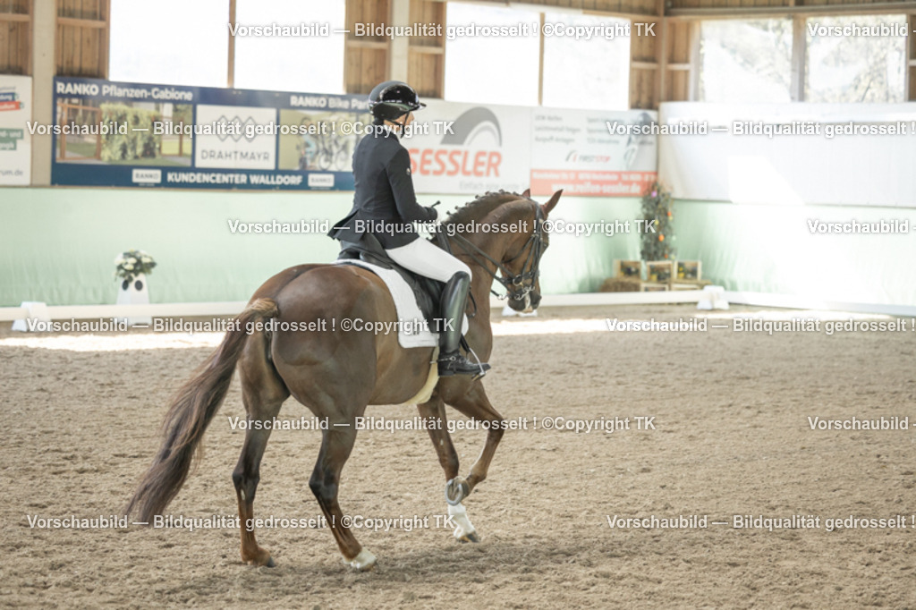 _D5A1221 | Emotionale Pferde- & People-Fotografie rund um Heidelberg, Leimen & Umgebung. Natürliche Fotos von Pferd, Mensch & Familie. Jetzt Termin sichern!