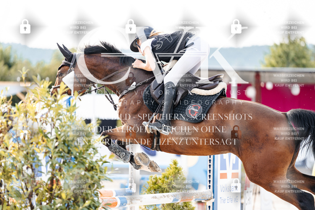 CK906993 | Turnierfotografie Pferdefotografie Trier Rheinland-Pfalz Pferdesport Reitsport Tierfotografie Sportfotografie Pferdevideo Pferdevideografie Equestrianvideography equestrianphotography  - Realisiert mit Pictrs.com