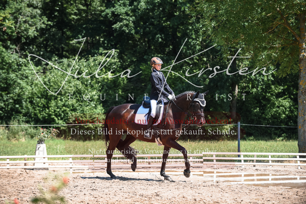 DSC_2802 | Pferde- und Turnierfotografie in Westsachsen. Pferdeportraits, Auftragszeichnungen und intuitive Kunst.