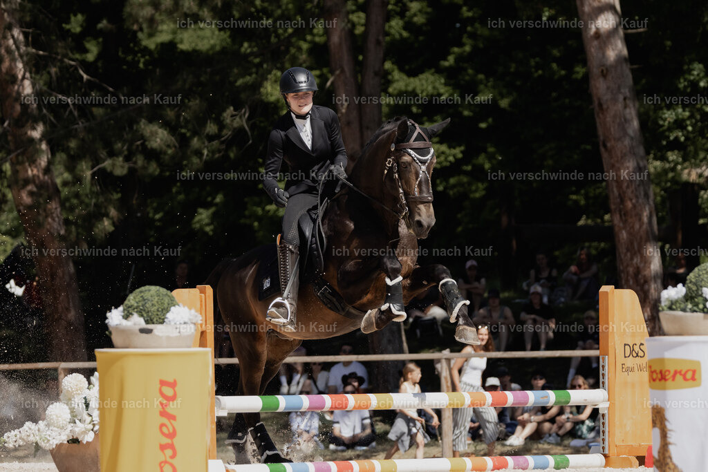 WE_SP_Stoib_309_PI2025_1476 | Pferd International München 2025