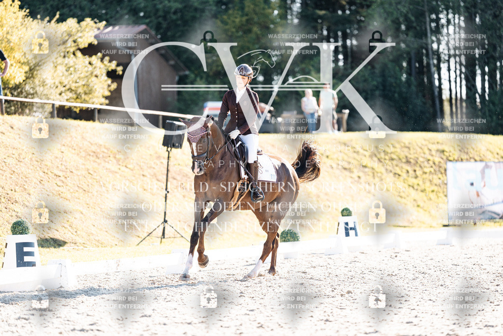 CK906615 | Turnierfotografie Pferdefotografie Trier Rheinland-Pfalz Pferdesport Reitsport Tierfotografie Sportfotografie Pferdevideo Pferdevideografie Equestrianvideography equestrianphotography  - Realisiert mit Pictrs.com