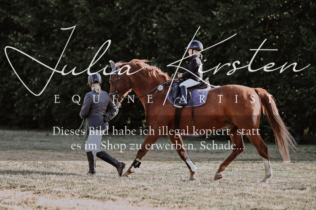DSC_0176 | Pferde- und Turnierfotografie in Westsachsen. Pferdeportraits, Auftragszeichnungen und intuitive Kunst.