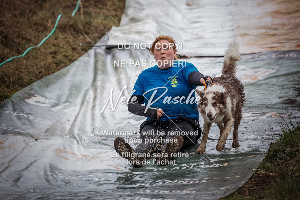 063 | nelerasche