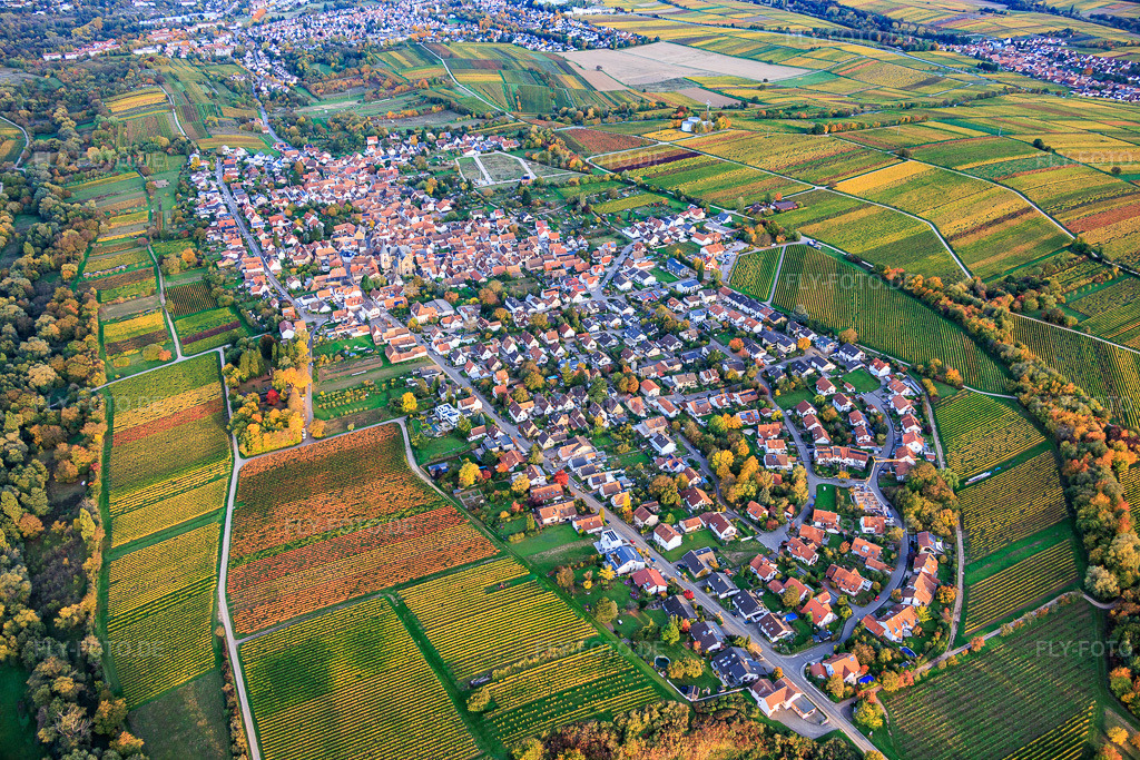 Luftbild: Ortsansicht von Westen im Ortsteil Arzheim in Landau im Bundesland Rheinland-Pfalz in Deutschland. Foto: IMG_150344.jpg vom 15.10.2025 durch Werner Riehm/FLY-FOTO.de