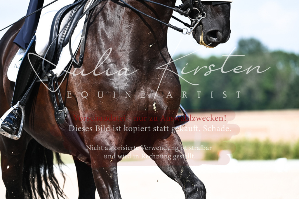 DSC_3166 | Pferde- und Turnierfotografie in Westsachsen. Pferdeportraits, Auftragszeichnungen und intuitive Kunst.