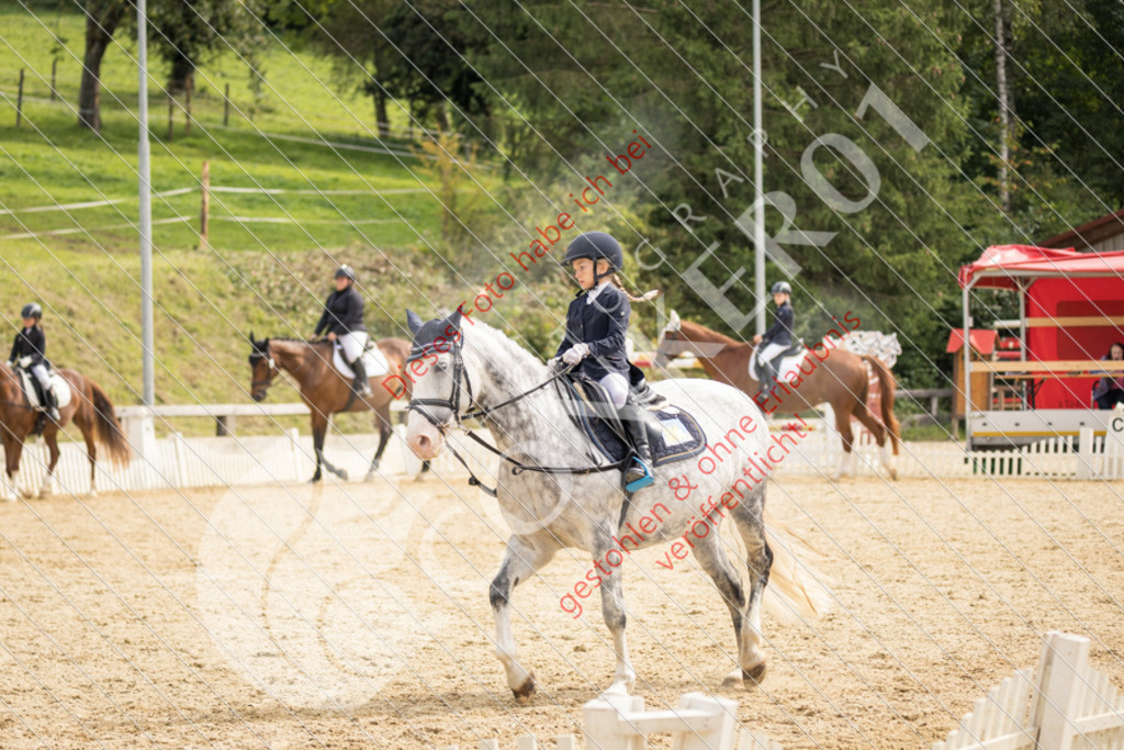 CON_0170 | Sport-, Event- und Tierfotos in Profiqualität. Einfach auswählen, bestellen und herunterladen. Dein Moment – perfekt festgehalten.