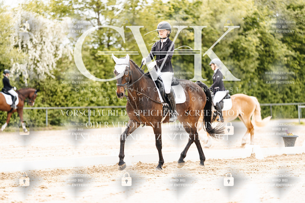 CK902855 | Turnierfotografie Pferdefotografie Trier Rheinland-Pfalz Pferdesport Reitsport Tierfotografie Sportfotografie Pferdevideo Pferdevideografie Equestrianvideography equestrianphotography  - Realisiert mit Pictrs.com