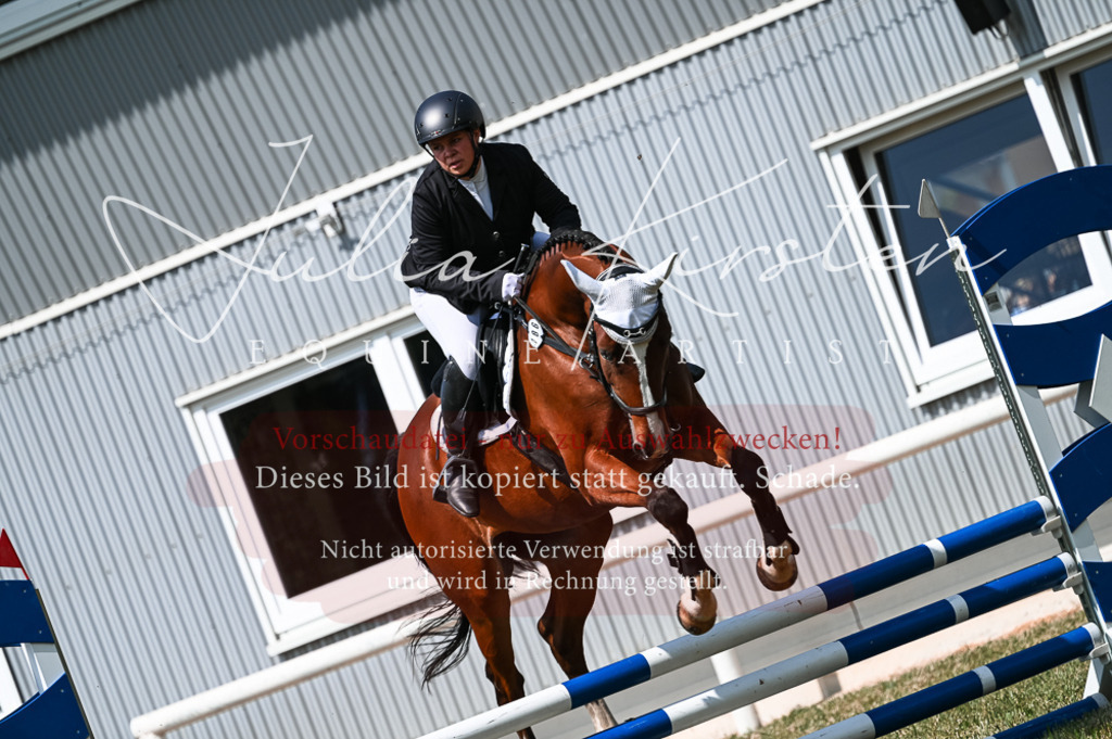 DSC_8699 | Pferde- und Turnierfotografie in Westsachsen. Pferdeportraits, Auftragszeichnungen und intuitive Kunst.