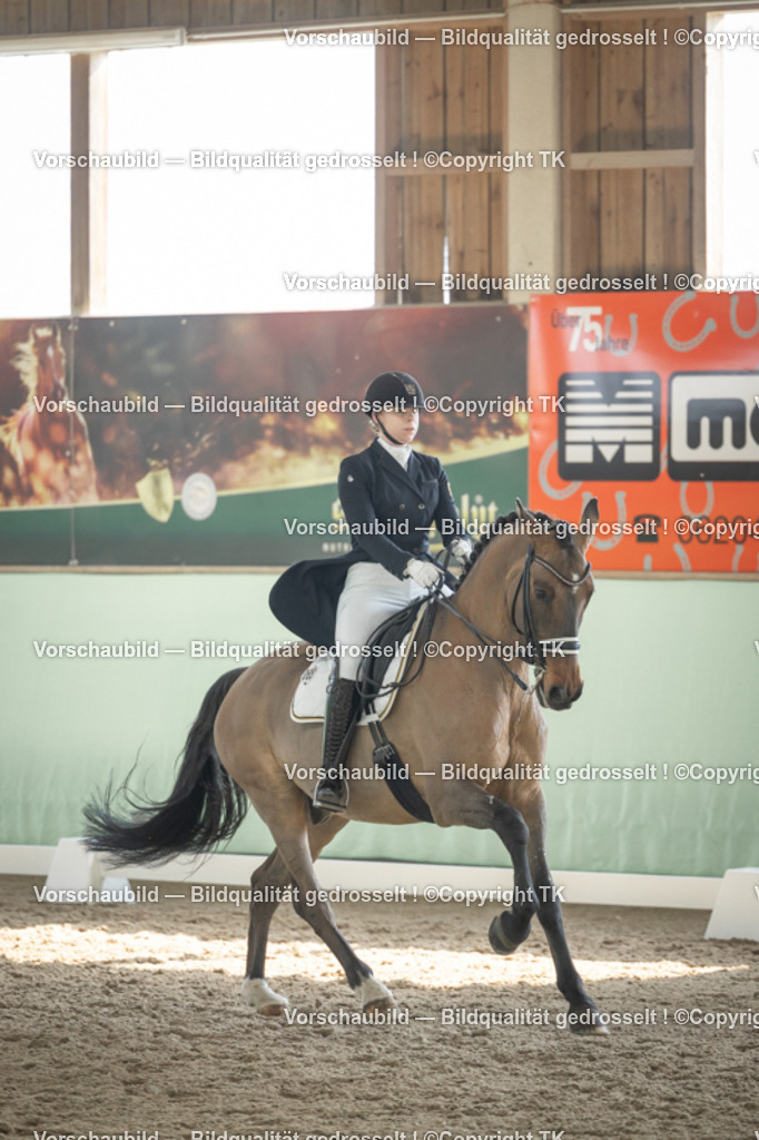 _D5A2313 | Emotionale Pferde- & People-Fotografie rund um Heidelberg, Leimen & Umgebung. Natürliche Fotos von Pferd, Mensch & Familie. Jetzt Termin sichern!