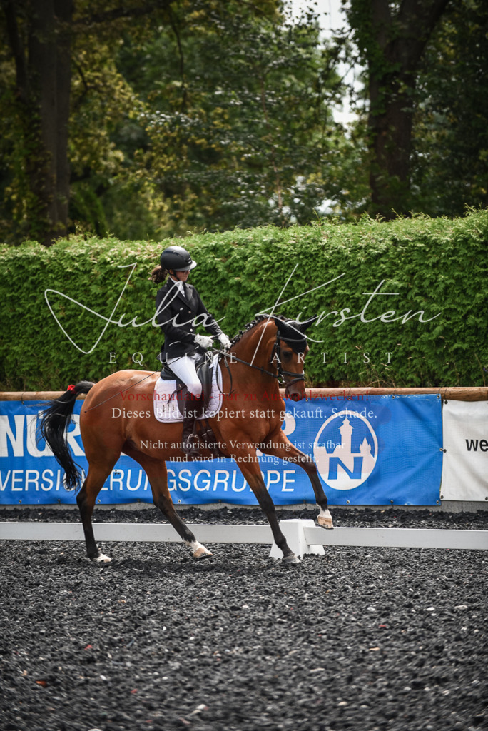 DSC_4385 | Pferde- und Turnierfotografie in Westsachsen. Pferdeportraits, Auftragszeichnungen und intuitive Kunst.
