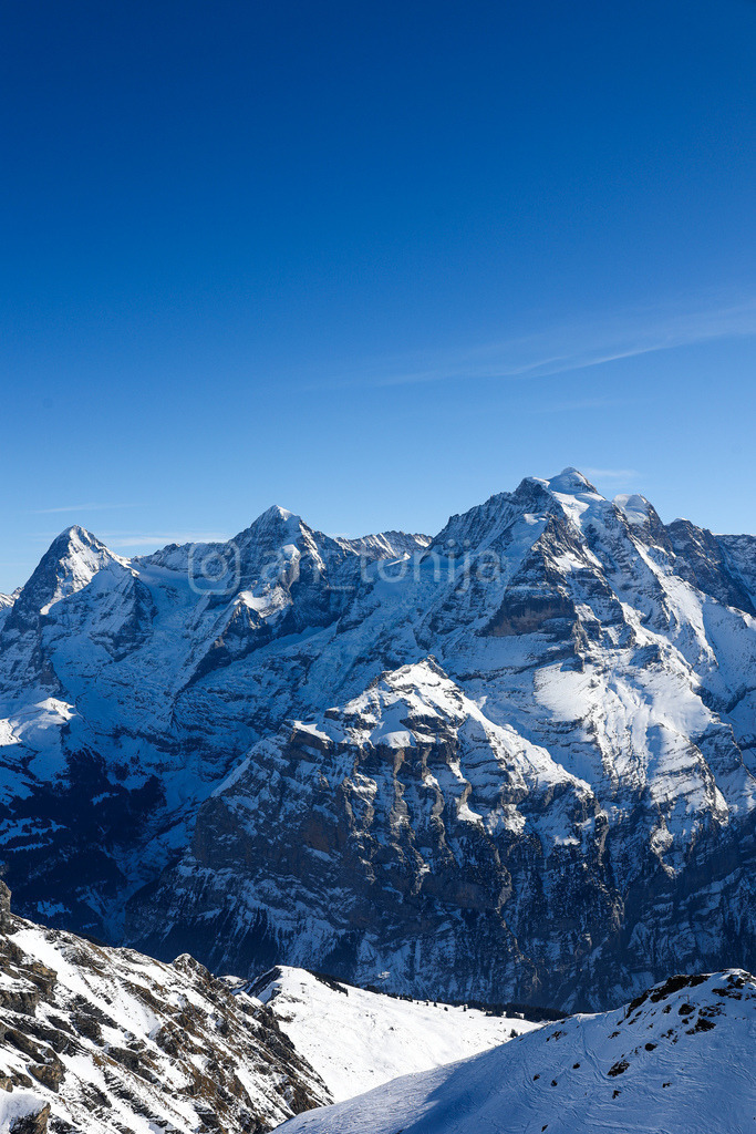 JB3A5339 | antonija-trupina - Realisiert mit Pictrs.com