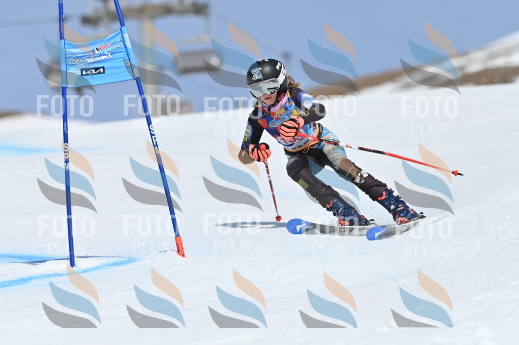 BGV_0103 | holidayphoto