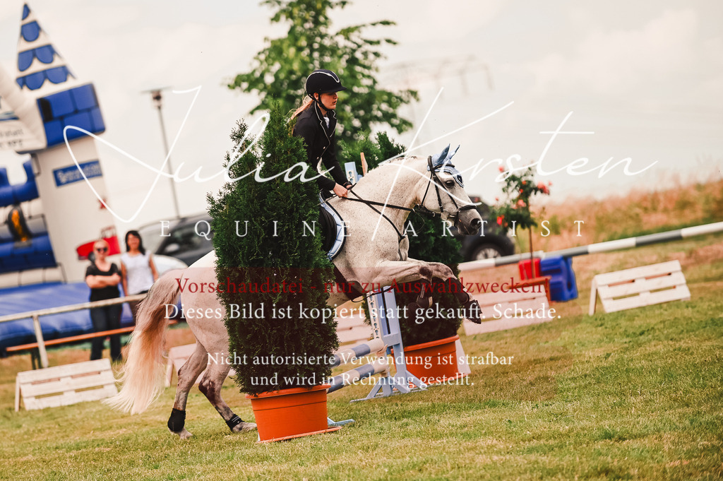 DSC_6971 | Pferde- und Turnierfotografie in Westsachsen. Pferdeportraits, Auftragszeichnungen und intuitive Kunst.